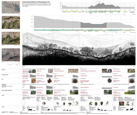 Interwoven Blades | CEPT - Portfolio
