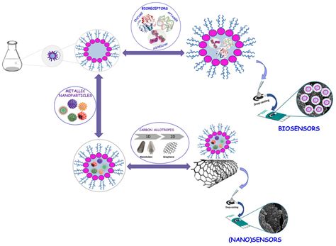 Versatility of Reverse Micelles: From Biomimetic Models to Nano (Bio ...