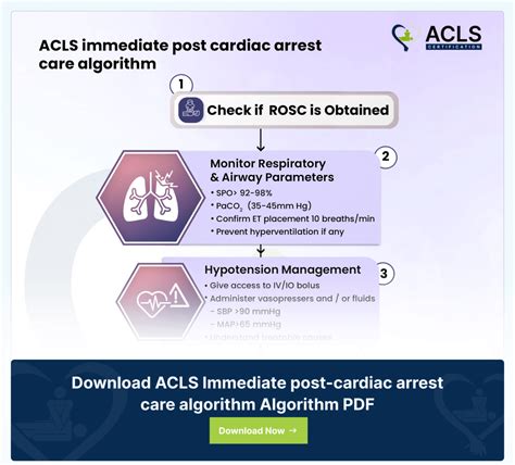 Image result for ACLS Code Algorithm Timeline