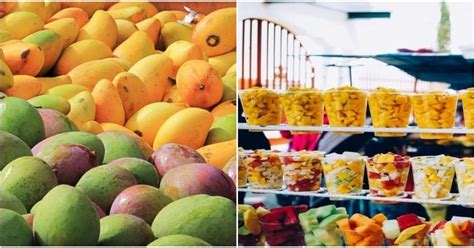 A Guide To The Best Mangoes In India | WhatsHot Delhi Ncr