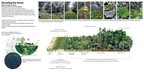 Moss - Mosaic in forest | CEPT - Portfolio
