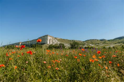 Image result for Mountian SpringSource