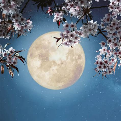Luna hoy, sábado 28 de febrero: "Se acerca la Luna llena y el cuerpo lo ...