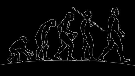 Evolution of Humankind 的图像结果