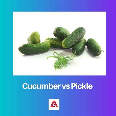 Cucumber vs Pickle: Difference and Comparison