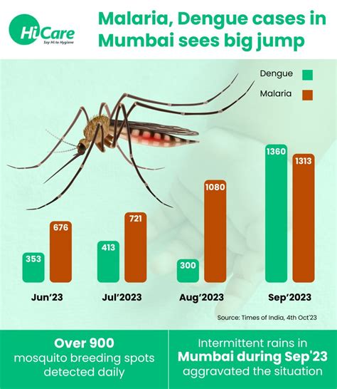 Why Mosquito Pest Control Service is Necessary in Mumbai? – HiCare (A ...