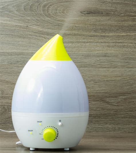Humidifier For Cough And Runny Nose at Jordan Biddle blog