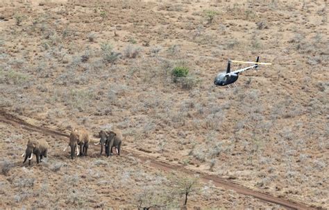 No-Trade No Killing 的图像结果