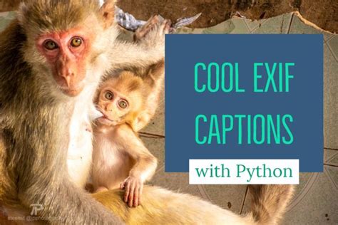 Rezultat imagine pentru EXIF Tutorial