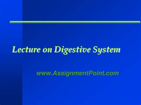 Image result for Digestive System Lecture