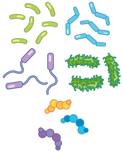 A Set of Bacteria 693693 Vector Art at Vecteezy