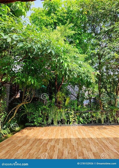 The Flower Smells Like Jasmine Stock Photo - Image of leaf, branch: 278152926