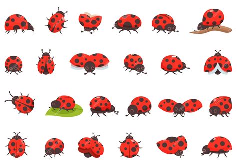 Premium Vector | Ladybug icons set cartoon vector bug insect animal wing