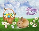 Image result for Easter Bunny Rabbit Coloring Book