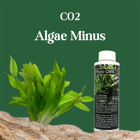 Fertilizer Aquatic Remedies Wild Phyto Carb Co2 Algae Controller ...