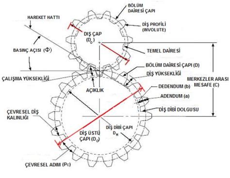 DİŞLİ FORMÜLLERİ