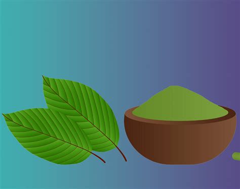 Kratom Addiction: What is it and When to Get Help | New Life House