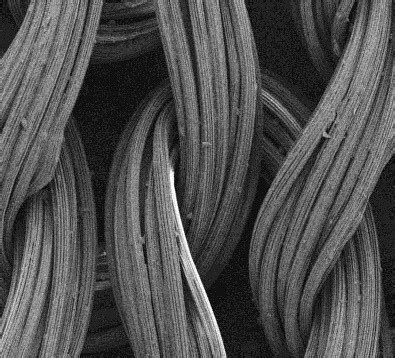 Army inventor advances revolutionary fiber capabilities | Article | The ...