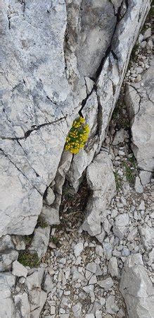Gran Sasso (Abruzzo) - 2020 What to Know Before You Go (with Photos ...