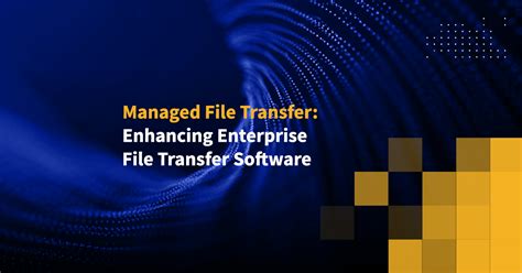 File Transfer Program 的图像结果