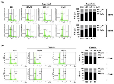 Therapeutic Potential of Regorafenib in Cisplatin-Resistant Bladder ...