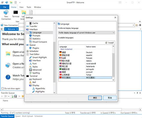 SmartFTP Tutorial 的图像结果