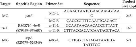Image result for Multiplex PCR Primer Design