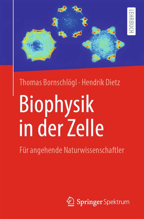 Buy Biophysik in der Zelle: Für angehende Naturwissenschaftler Book ...