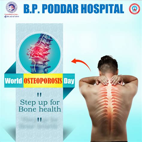 Osteoporosis Rdquo Ndash A Dreaded Common Osteoporosis Queries
