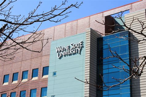 [100+] Wayne State University Wallpapers | Wallpapers.com
