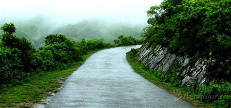 Chikmagalur - JungleKey.in Image #150