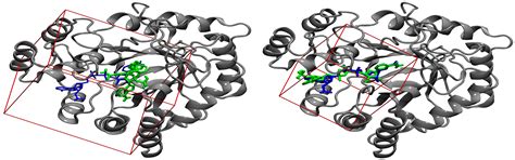 Image result for Search Algorithm Docking