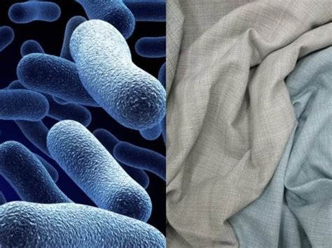 This Company Lets Microbes Eat Waste Material And Turn It Into Eco ...