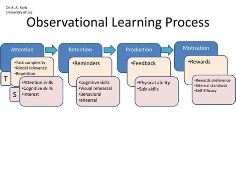 Image result for Learning through Observation