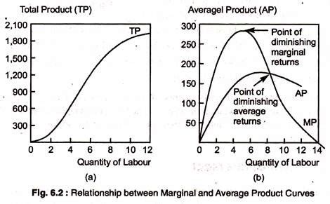 Marginal and Average Product Curves (With Diagram) - Commerce PDF Download