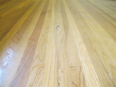 floor in guest room has extensive termite damage | Flooring, Termite ...