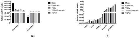 Persistence Infection of TGEV Promotes Enterococcus faecalis Infection ...