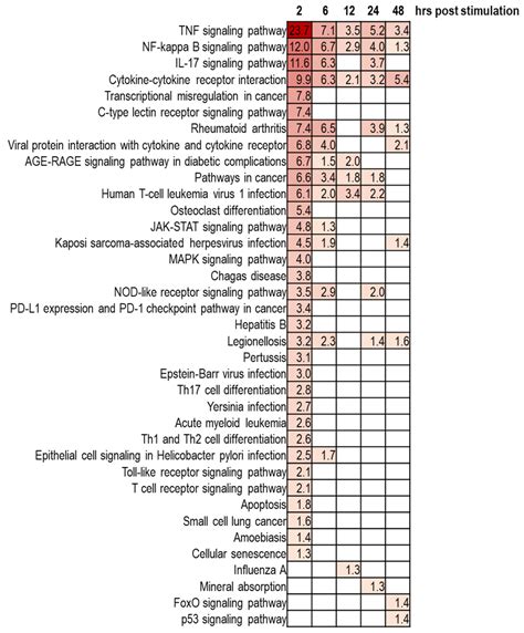 Effect of Aging on Homeostasis in the Soft Tissue of the Periodontium ...