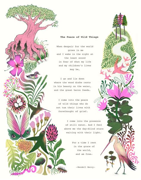 The Peace of Wild Things Illustrated Poem | Poem design, Storybook art ...