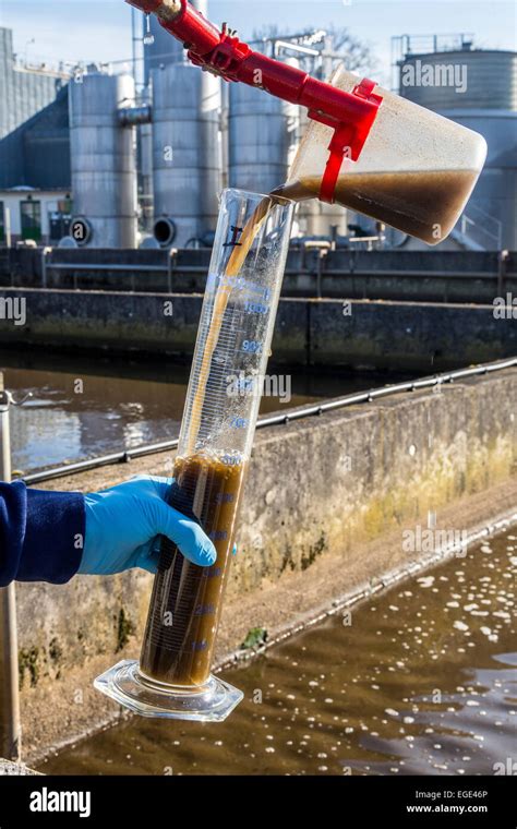 Food Waste Plant Sampling 的图像结果