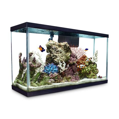 Aqueon Standard Glass Aquarium Tank 29 Gallon | Petco