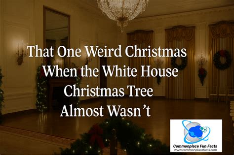That One Weird Christmas When the White House Christmas Tree Almost ...