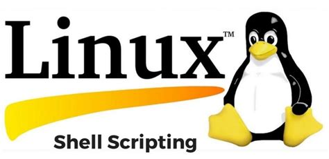 Image result for Shell Scripting Logo