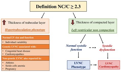 Left Ventricular Non-Compaction: Evolving Concepts