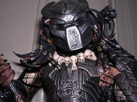 Image result for Predator Absolute Custom