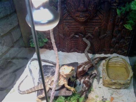 Aquarien Zubehoer Kleinanzeigen | Aquarien Zubehoer Annoncen | Aquarien ...