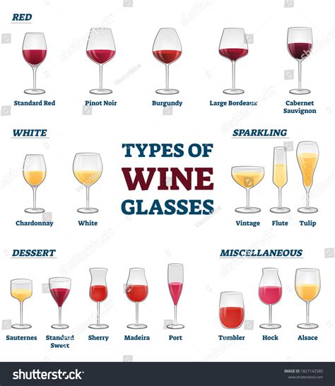 Types Wine Glasses Banner Educational Labeled: vetor stock (livre de ...