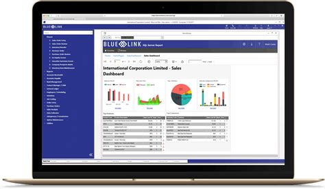 ERP Support | Blue Link Software