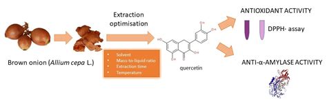 Enhanced Yield of Bioactivities from Onion (Allium cepa L.) Skin and ...