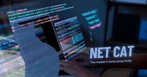 Image result for Reverse TCP Shell Attack Using Linux Metasploit
